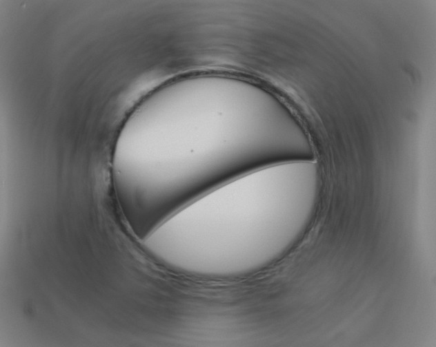 X0000114191363200910091019
