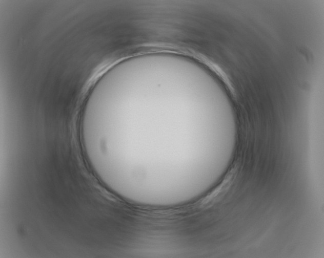 X0000114191365200910091019