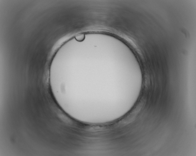 X0000114191366200910091019