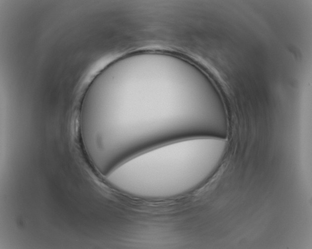 X0000114191367200910091019