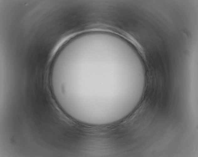 X0000114191368200910091019