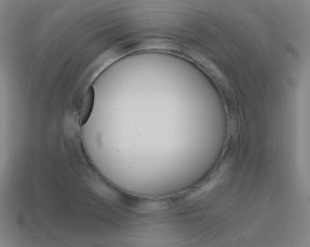 X0000114191369200910091019