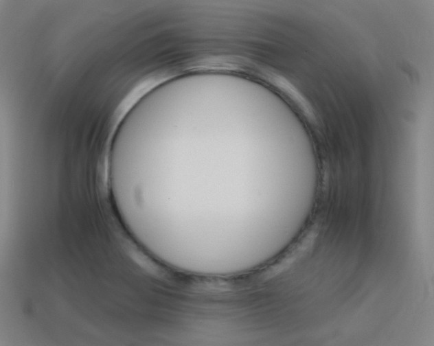 X0000114191370200910091019