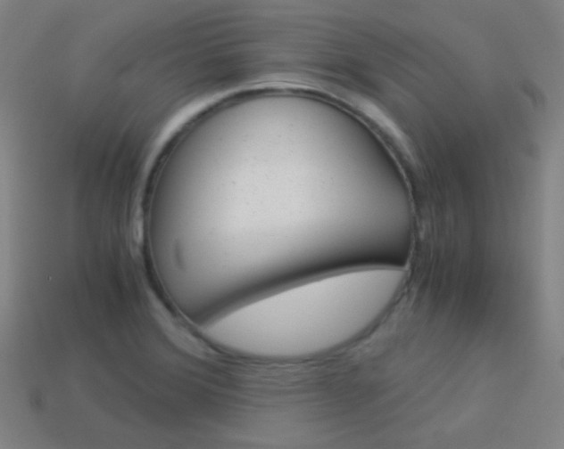 X0000114191372200910091019