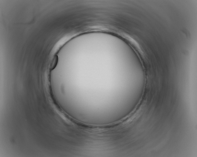 X0000114191373200910091019