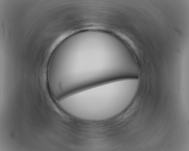X0000114191375200910091019
