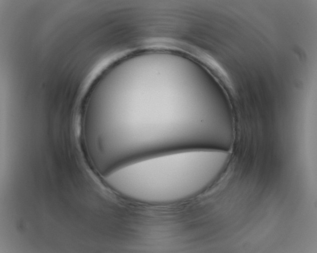 X0000114191376200910091019