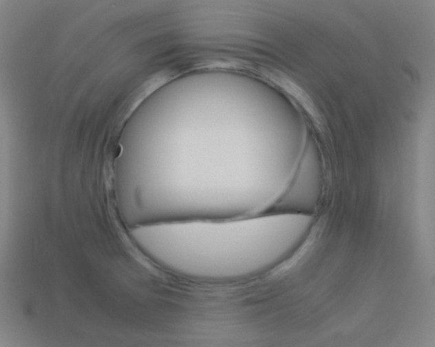 X0000114191377200910091019
