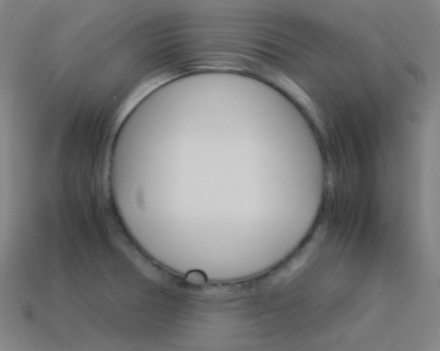 X0000114191378200910091019