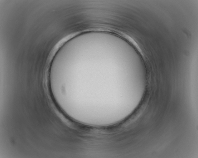 X0000114191379200910091019