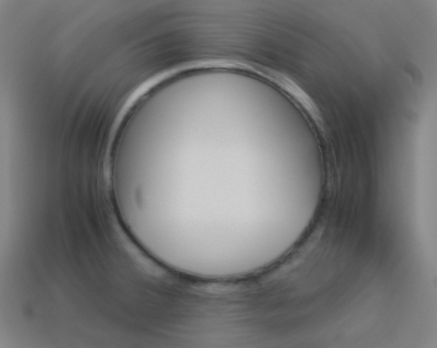 X0000114191380200910091019
