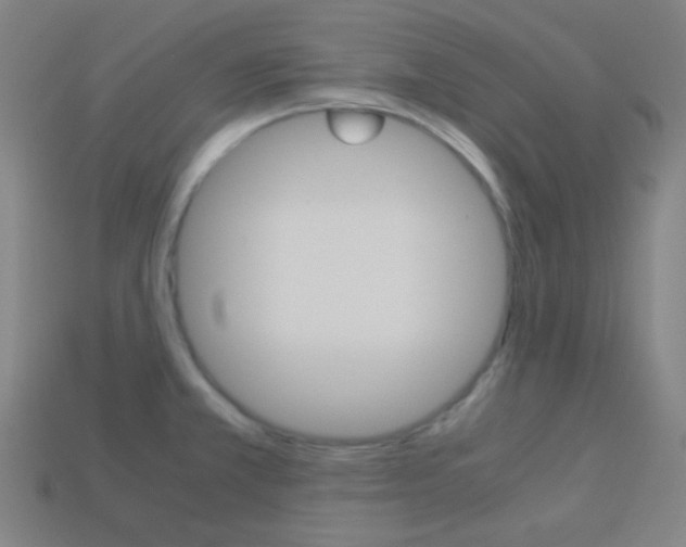 X0000114191381200910091019
