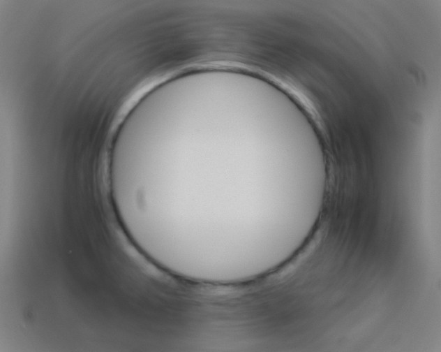 X0000114191382200910091019