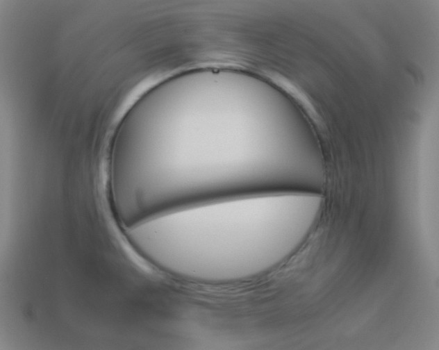 X0000114191383200910091019