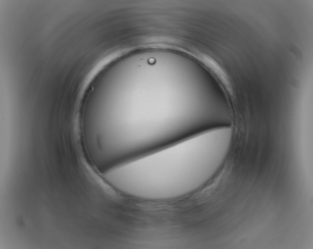 X0000114191384200910091019
