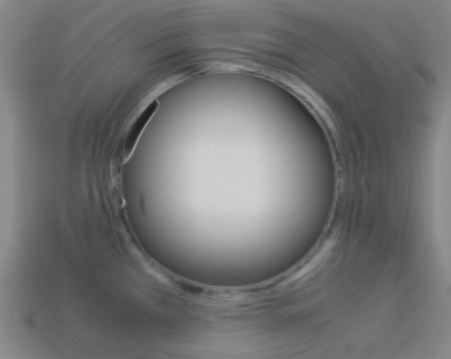 X0000114191385200910091019