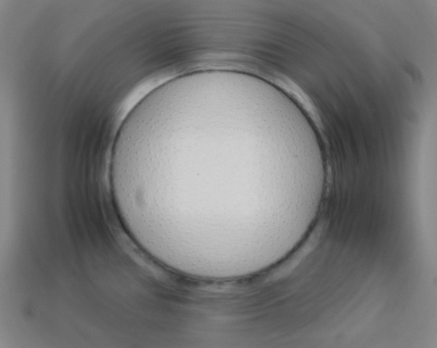 X0000114191386200910091019