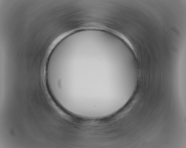 X0000114191387200910091019