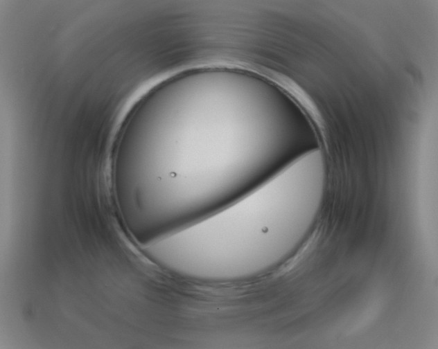 X0000114191388200910091019