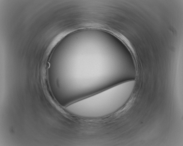 X0000114191389200910091019