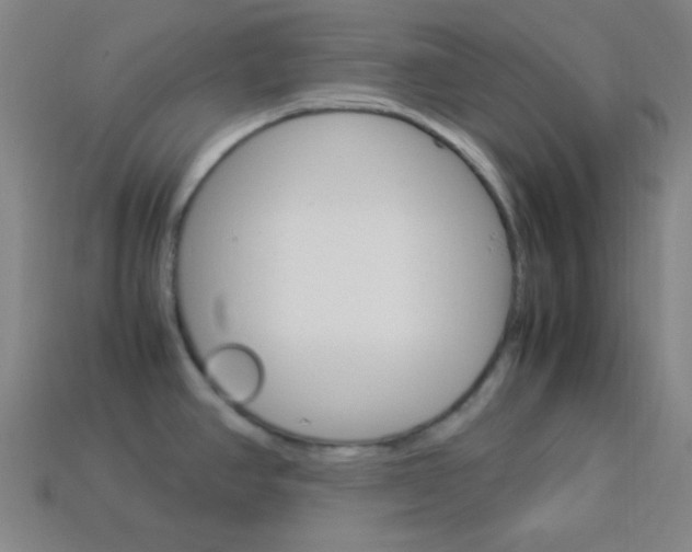X0000114191390200910091019