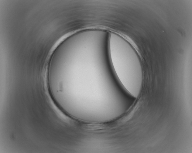 X0000114191391200910091019