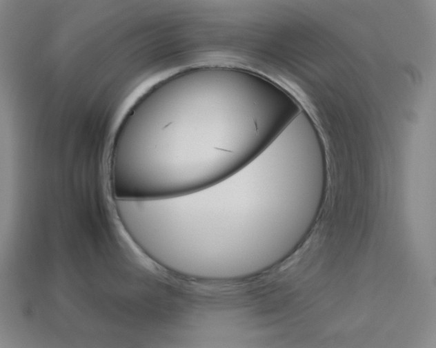 X0000114191392200910091019