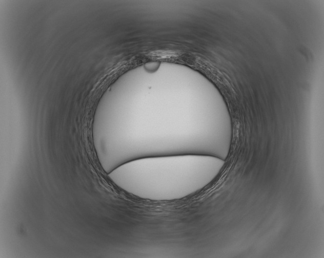 X0000114191393200910091018
