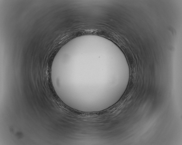 X0000114191394200910091018
