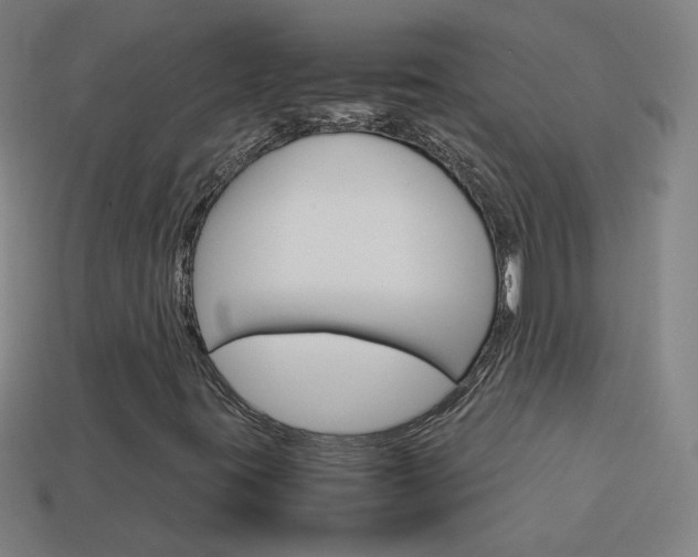 X0000114191395200910091018