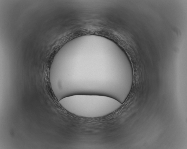 X0000114191397200910091018