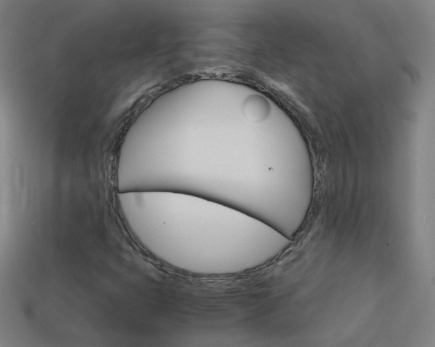 X0000114191399200910091018