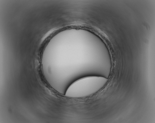 X0000114191400200910091018