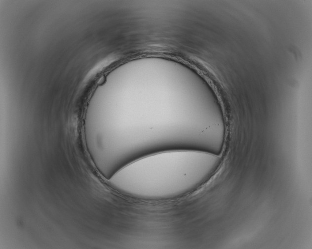 X0000114191402200910091018