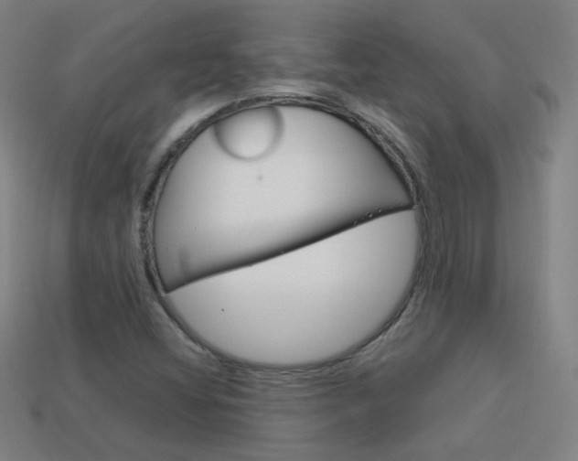 X0000114191404200910091018