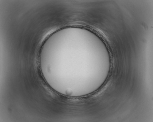 X0000114191405200910091018