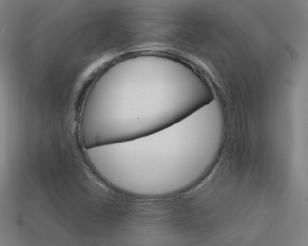 X0000114191406200910091018