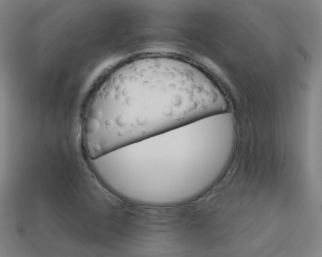 X0000114191408200910091018