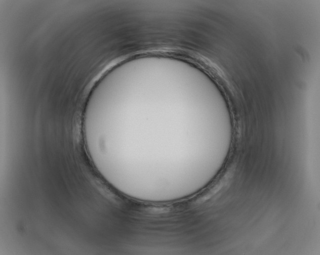 X0000114191409200910091018