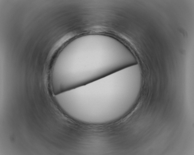 X0000114191410200910091018