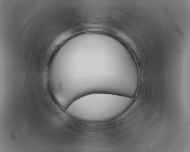 X0000114191411200910091018