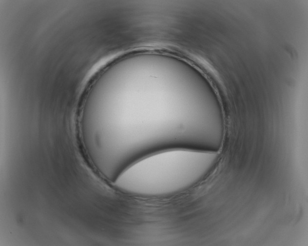 X0000114191412200910091018