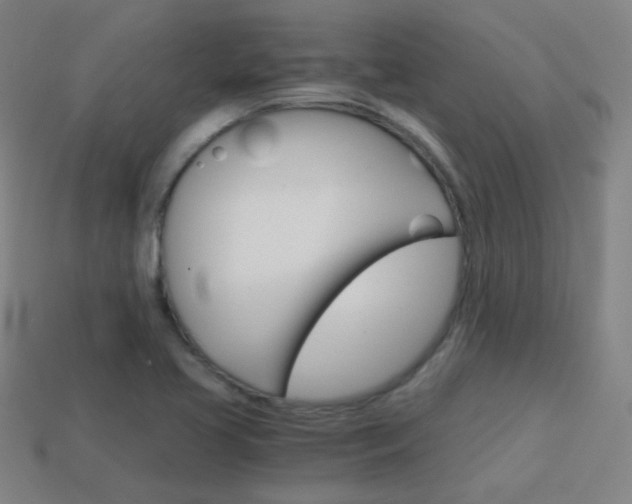 X0000114191413200910091018