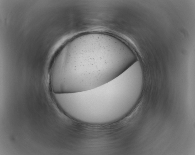 X0000114191414200910091018