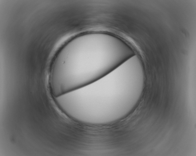 X0000114191416200910091018