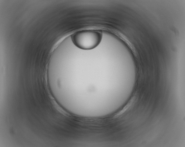 X0000114191417200910091018