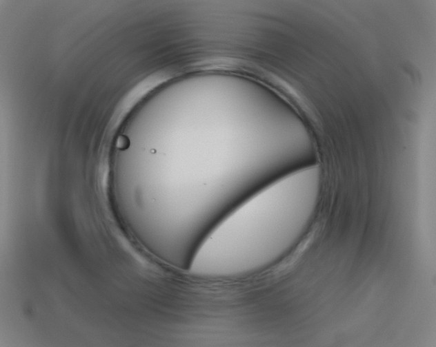 X0000114191418200910091019