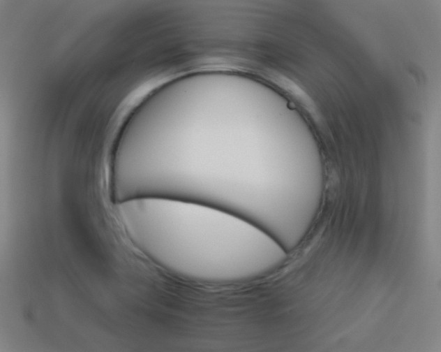 X0000114191419200910091019
