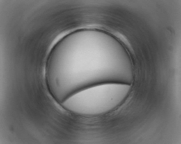 X0000114191420200910091019