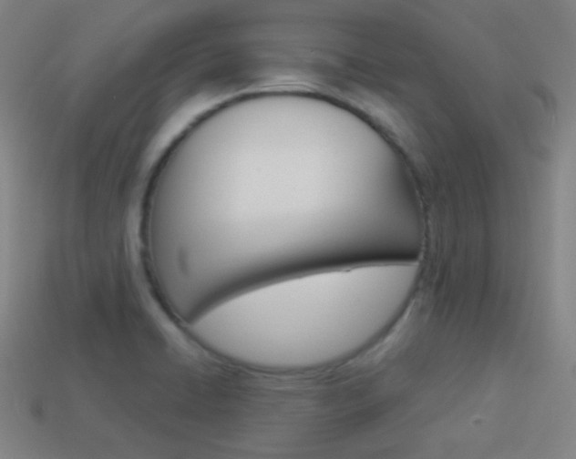X0000114191422200910091019